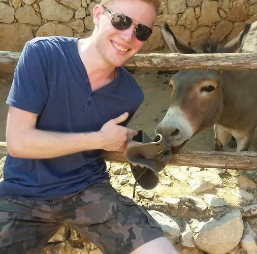 Albergue Downtown Mostar